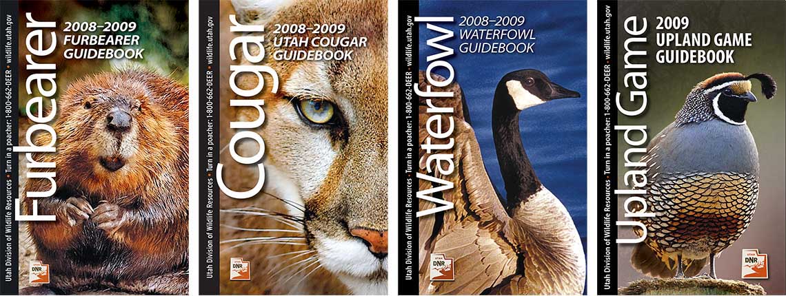 Guidebooks
