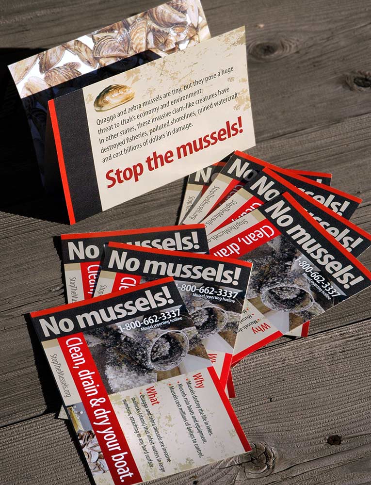 No mussels brochure