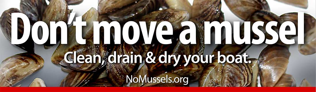 No mussels billboard