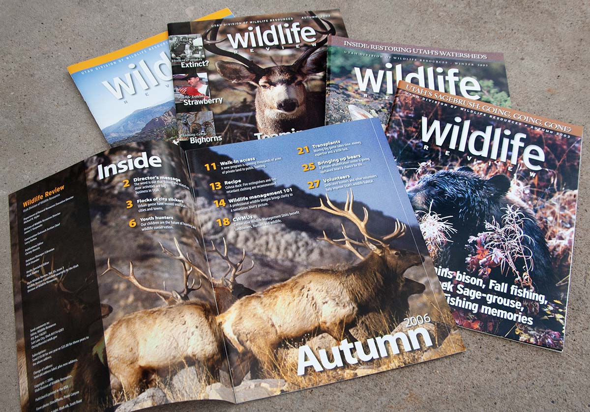 Wildlife Review Magazine
