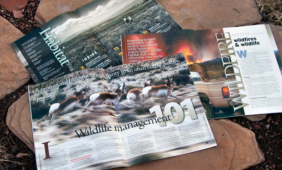 Wildlife Review inside pages